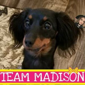 Meet your Posher, Conniesue